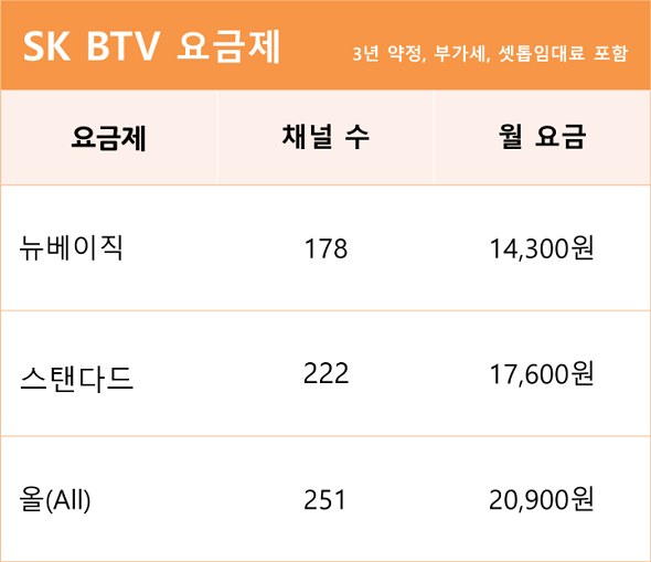 SKB 인터넷 TV BTV 넷플릭스 채널 가입 고객센터 전화번호